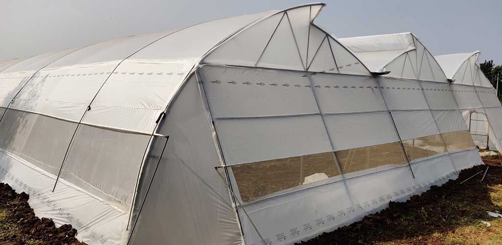 Polyhouse Sheet or Greenhouse Covering Film